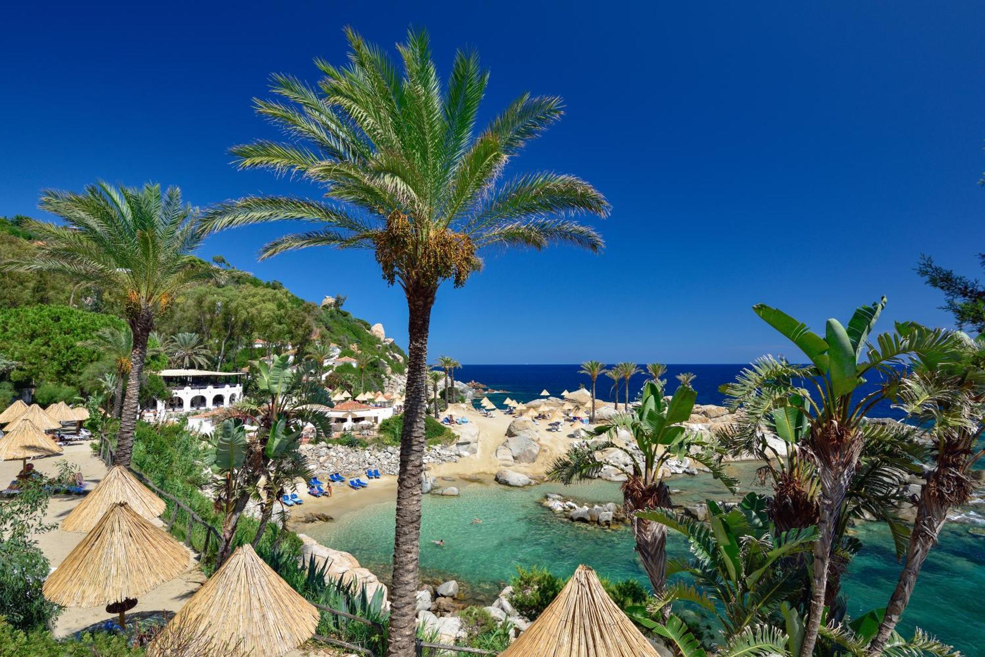 Resort Park - Dune 4*